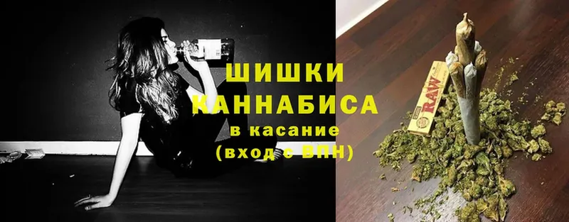 Бошки марихуана THC 21%  Дрезна 